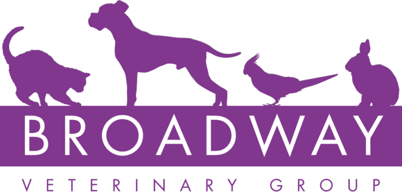 Broadway Veterinary Group