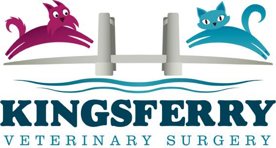 Kingsferry Veterinary Surgery