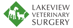 Lakeview Veterinary Surgery