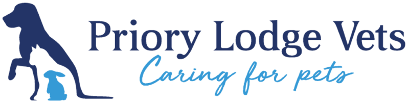 Priory Lodge Veterinary Services