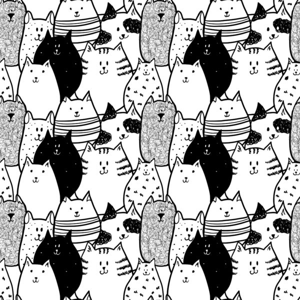 Cat Whiskers Boarding Cattery