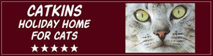 Catkins Holiday Home For Cats