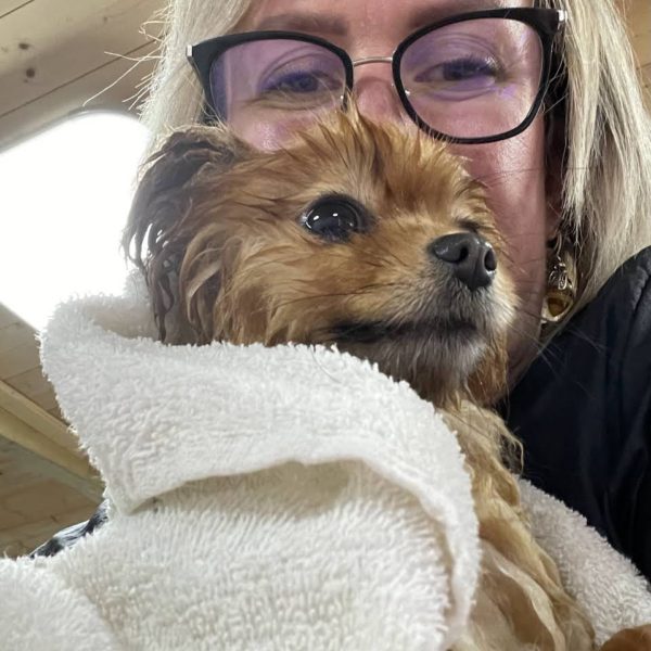 DogGoSpa Dog Grooming