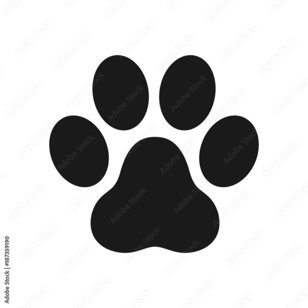 Premier Paws Dog Grooming