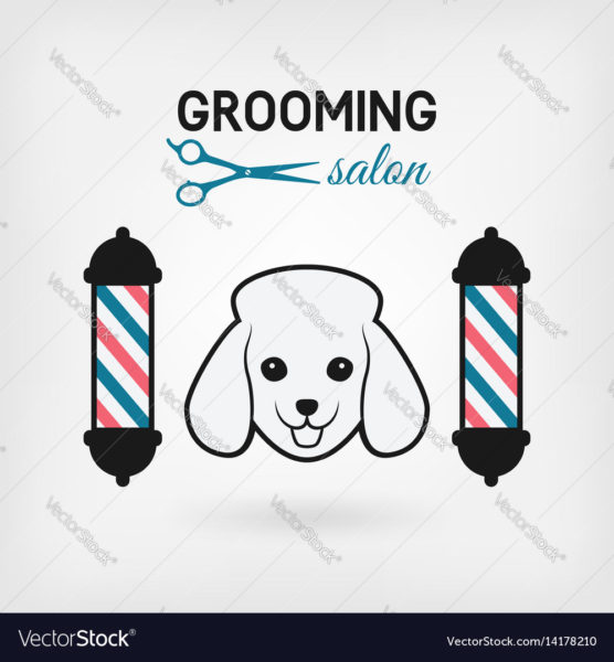 The Dog Grooming Studio (Kent)