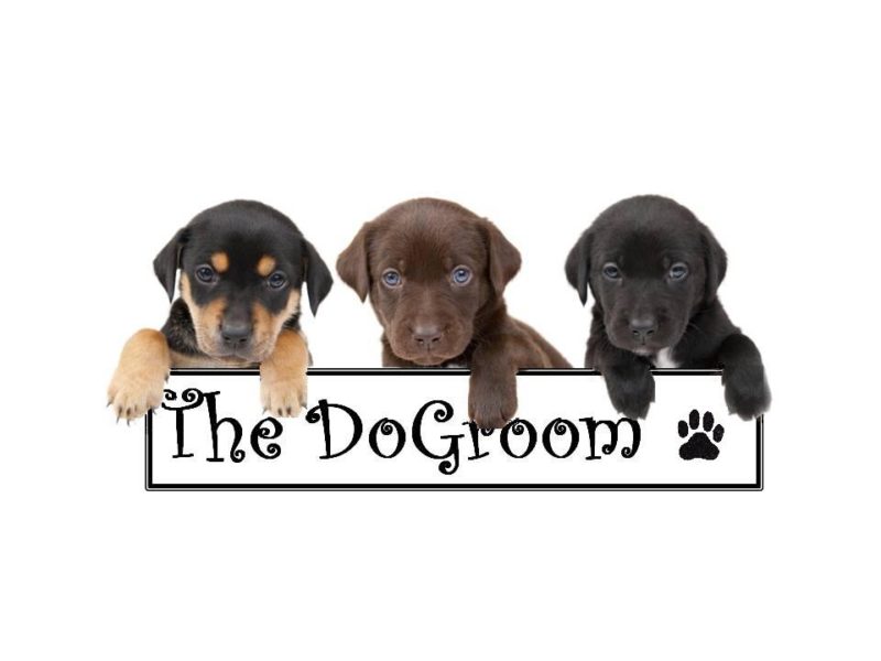 The Dog Room (Tonbridge)