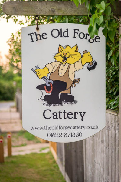 The Old Forge Cattery