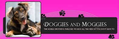 Doggies & Moggies