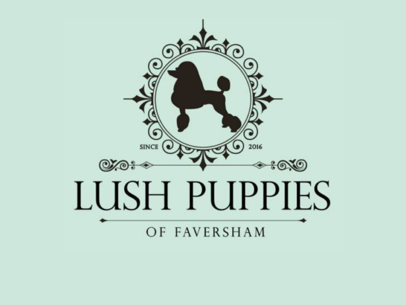 Lush Puppies Of Faversham
