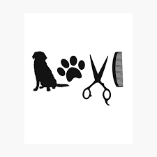 Paws 4 Grooming