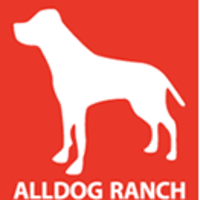 Alldog Ltd