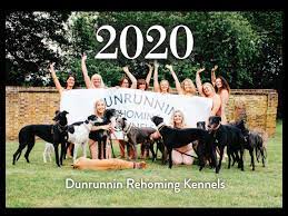 DunRunnin Rehoming Kennels