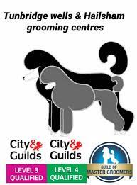 Tunbridge Wells Grooming Centre