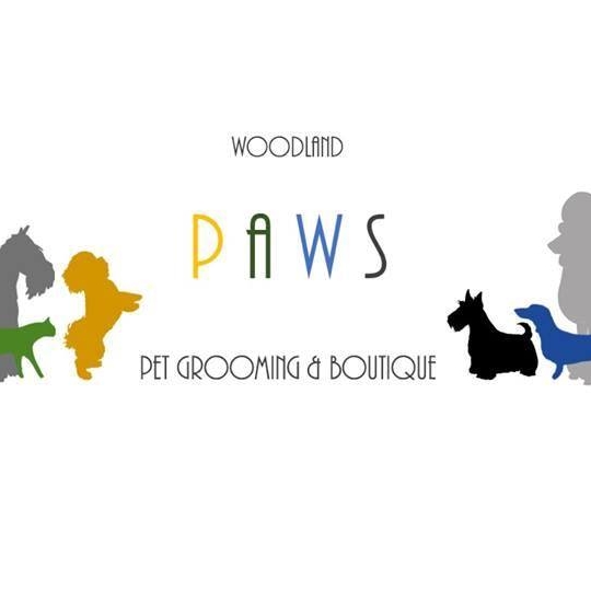 Woodland Paws Dog Grooming