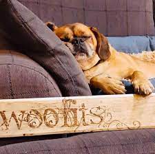 Woofits Dog Grooming Rainham