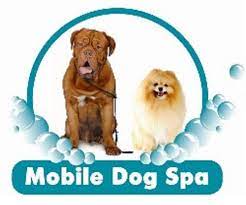 Doctor Dog Wash