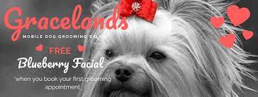 Gracelands Mobile Dog Grooming