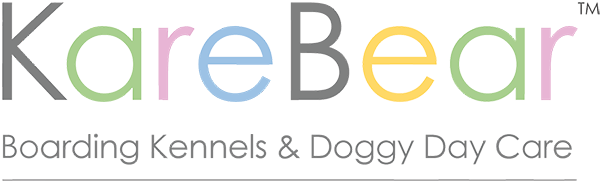 KareBear Boarding Kennels & Doggy Day Care