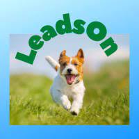 Leadson