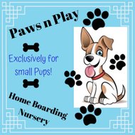 Paws N Play Home Boarding Nursery