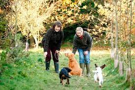 Tawnyhill Boarding Kennels